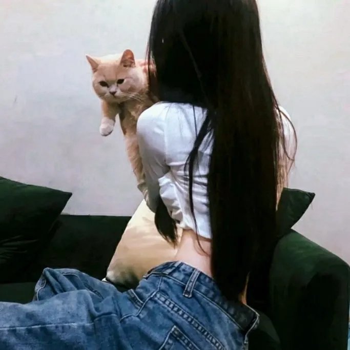 内线